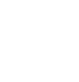 Sunset Van
